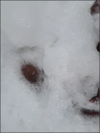 aluvher porno video Onlyfans leaked 6 ( 37.2 MB )