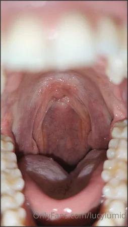 lucylumid dive in motherfucker no mercy 2223138005